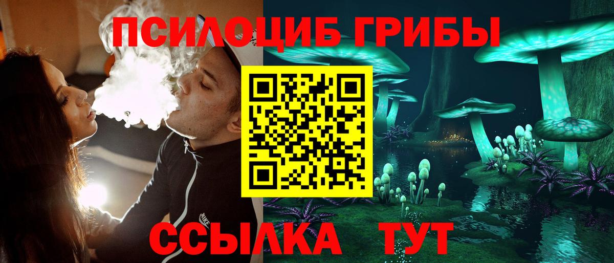 Галлюциногенные грибы GOLDEN TEACHER  Вход с VPN  дарнет шоп  Псилоцибиновые грибы мухоморы  Михайловск 